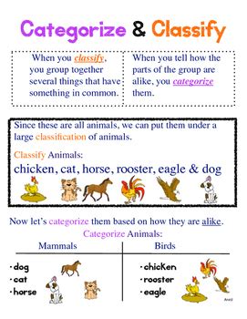 Categorize & Classify Anchor Chart by Kim Arvidson | TpT