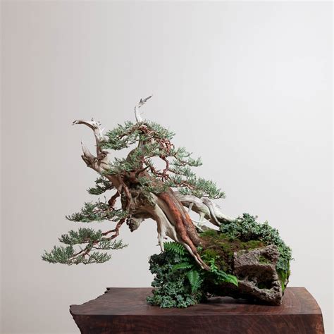 Traditional Japanese Bonsai Tree Painting