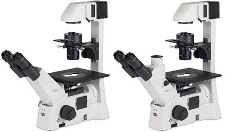 Weswox High Power Microscope Halogen Model Namenumber Wtc 6500 At