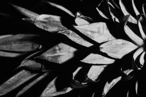 Join facebook to connect with edward still and others you may know. A Level Photography Archives - Photography Project ...