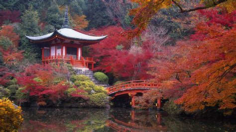 Japanese House And Garden Autumn Wallpaper Download 3840x2160