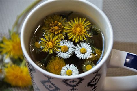 Чай для очищения организма – рецепты лучших напитков для чистки от ...