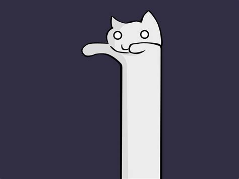 Wallpaper White Illustration Cat Animals Minimalism Artwork