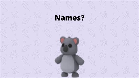 What Should I Name My Koala Read Description Youtube