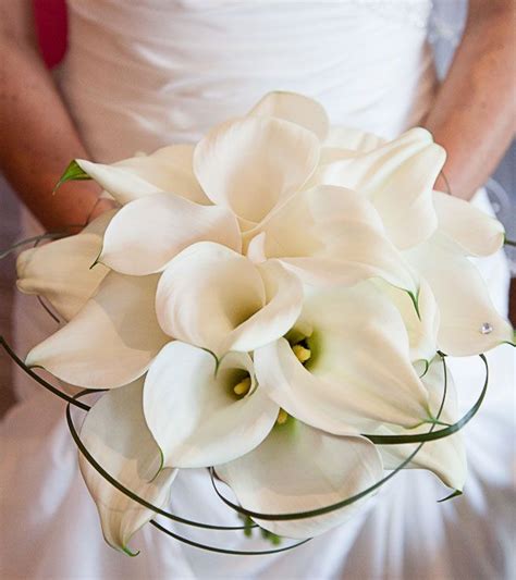 Simple And Elegant White Calla Lily Bridal Bouquet With Bear Grass