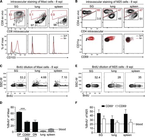 Cd103 Expression In Cd8 And Cd69 Expression In Cd4 Memory T Cells