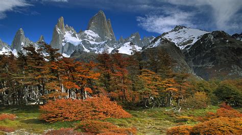 Free Download Cool Background Backgrounds Park Patagonia Argentina