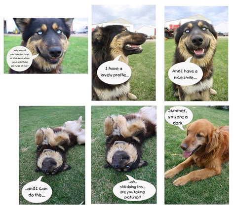 #talkingdog #furbaby the day after thanksgiving knock a talking dog. It's All About the Kids: Talking Dogs...