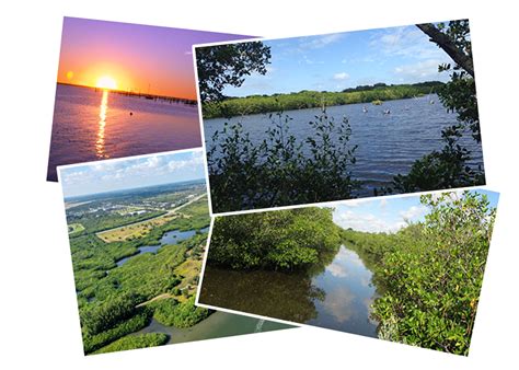 Indian River Land Trust Conserving Land And Water