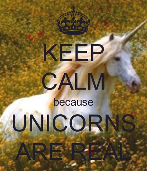 Real Unicorns With Wings Quotes Real Unicorn Unicorn Wings Quotes
