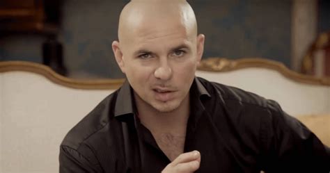 Malaysia Flight Mh370 Pitbull Song Lyrics Bear Uncanny Resemblance To