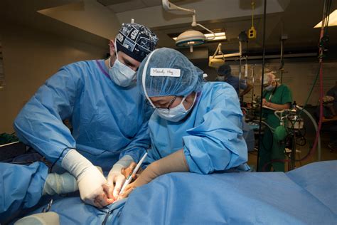 Welcome to the department of veterinary clinical sciences. Surgical Equipment Donation Enhances Learning for Purdue ...
