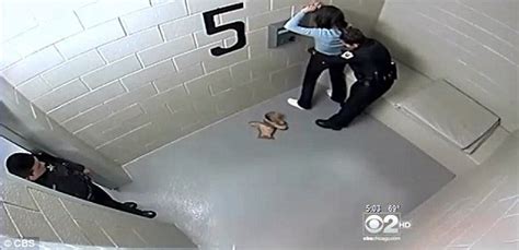 Ghislaine maxwell's new york jail cell has become a mess and she often does not flush her toilet, prosectors have alleged. Cassandra Feuerstein- Chicago Woman Suffered Horrific ...