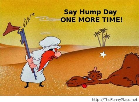 Hump Day Funny Jokes Happy Hump Day Funny Looney Tunes Characters Looney Tunes Cartoons