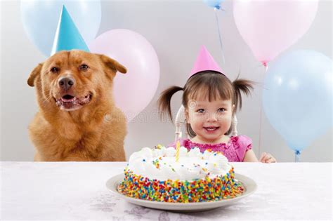 Cani Del Cucciolo Di Compleanno Di Canto Fotografia Stock Immagine Di