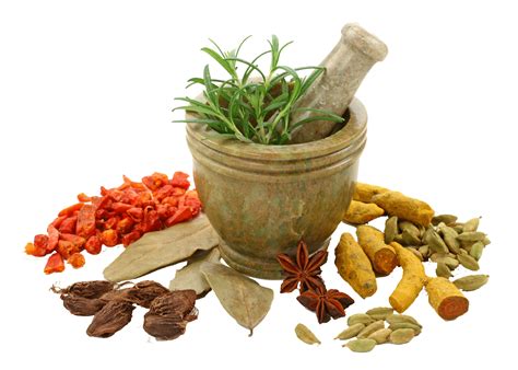 Spices Png Spices Transparent Background Freeiconspng