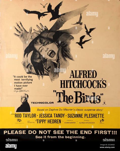 movie poster the birds by alfred hitchcock museum private collection author anonymous stock