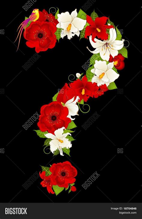 Question Mark Flowers Image And Photo Bigstock