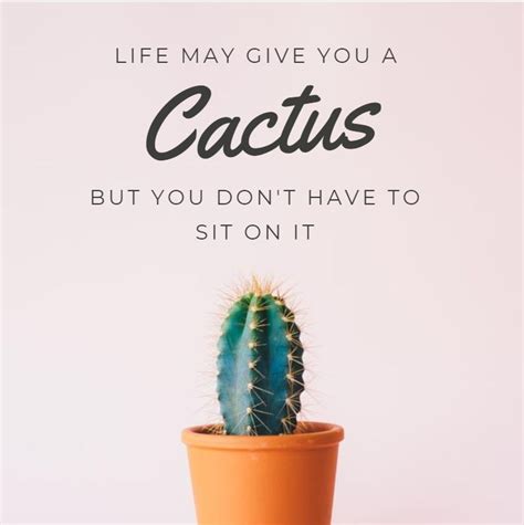 A big part of opting for a healthy lifestyle is physical activity. 30 Instagram Quotes - Aesthetic and Meaningful | Life ...