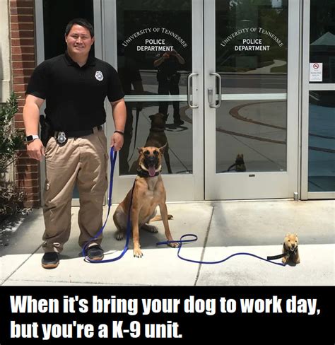 Good Job Dog Meme
