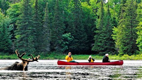 3 Day Classic Algonquin Park Guided Canoe Trip Voyageur Quest