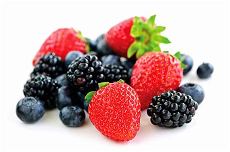 Plexidor Pet Doors Snack On Fruits And Berries