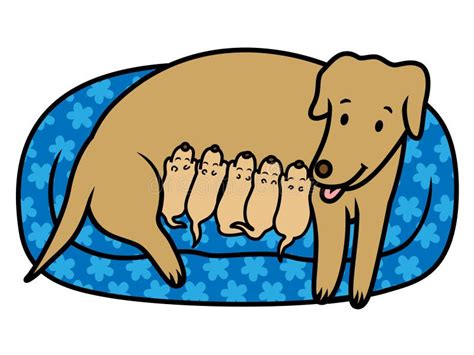 Female Dog Mother Breast Feeding New Born Puppies Stock Vector