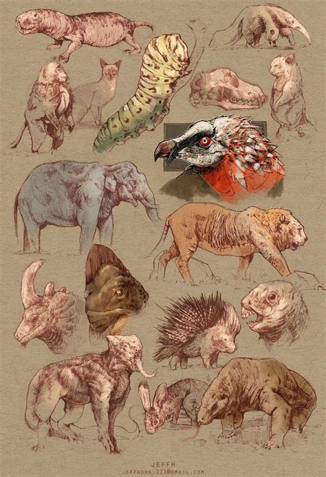 Pin by Paulina Sawicki on Autre | Animal drawings, Animal sketches, Animal art