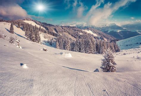 Sunny Winter Morning In The Snowy Mountains Stock Photo Image Of
