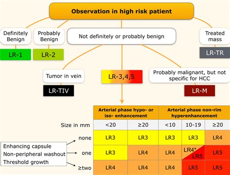 Images and algorithm sourced from: The Radiology Assistant : LI-RADS