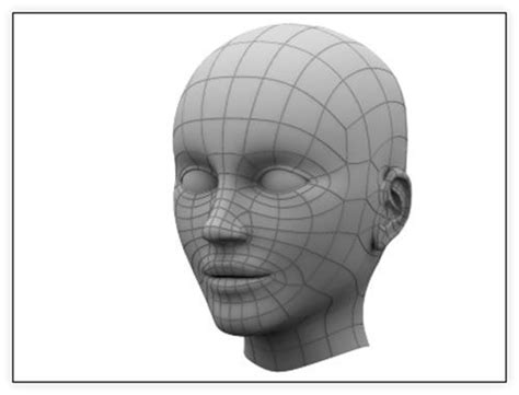 Low Poly Face Wireframe 3d Face Model Face Topology Character Modeling