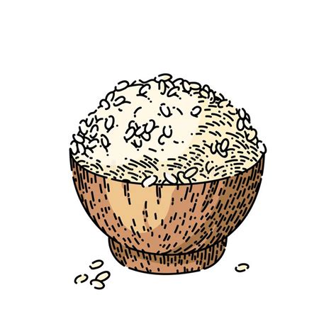 Rice Bowl Cartoon Vector Illustration Stock Illustration Illustration
