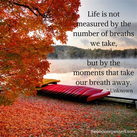 October 20, 2018 life is not measured by the number of breaths we take, but by the moments that take our breath away. Photo Organizers: Quotes About Memories | The Photo Organizers
