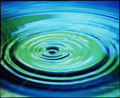 Multiple Ripples From A Water Drop Stock Image A1800139 Science