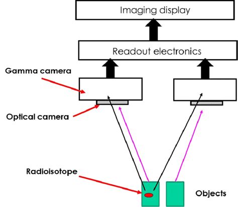 A Schematic Of The Stereo Imaging Configuration Showing A Pair Of