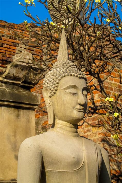 Ayutthaya Ancient Buddha Statue Stock Photo Image Of Religion