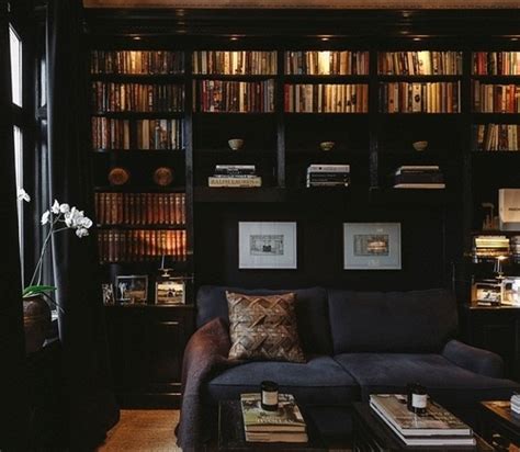 Classic double blue color scheme. Splendid Sass: GREAT LIBRARIES