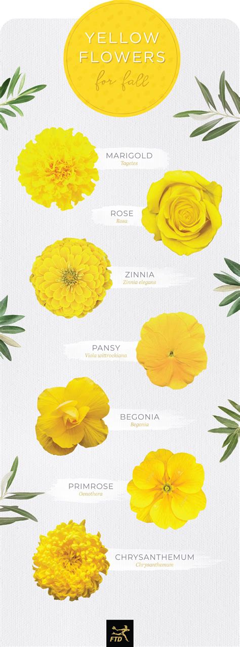 30 Types Of Yellow Flowers Yellow Flowers Names Flower Names Types Of