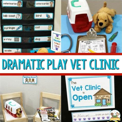 There is nothing more rewarding for us than providing the highest quality veterinary medicine to help pets stay happy. Dramatic Play Vet Clinic | Dramatic play themes, Dramatic ...