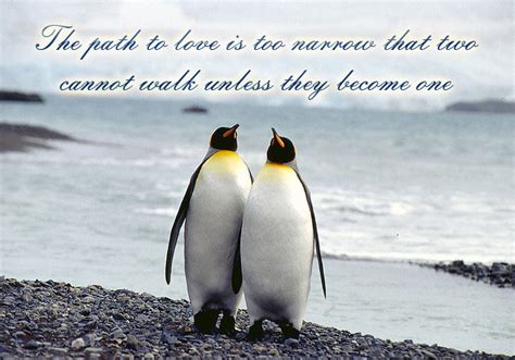 They aren't shy about expressing their love for their mate. Penguin Love Quotes. QuotesGram