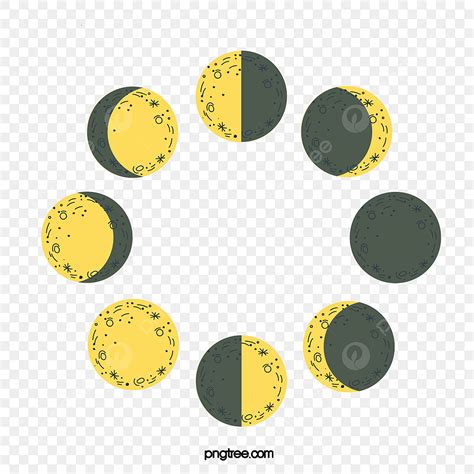 Vector Hand Painted Moon Phase Hand Vector Moon Vector Vector Png