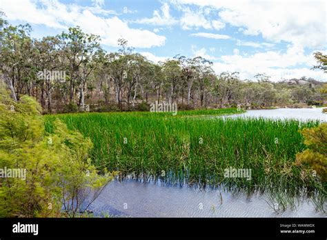 Cudgegong River Hi Res Stock Photography And Images Alamy