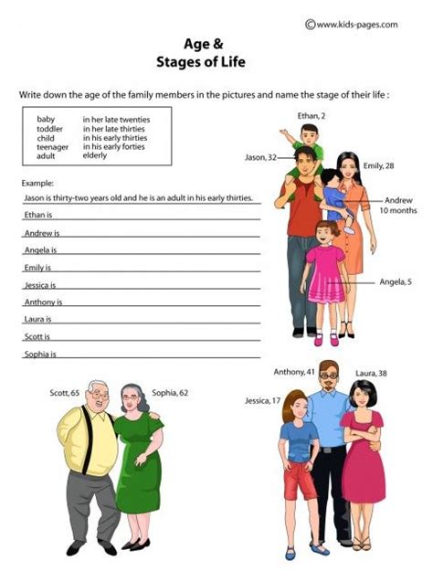 Age And The Stages Of Life Worksheets English Worksheets For Kids