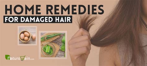 Top 8 Home Remedies For Damaged Hair Treatment That Work