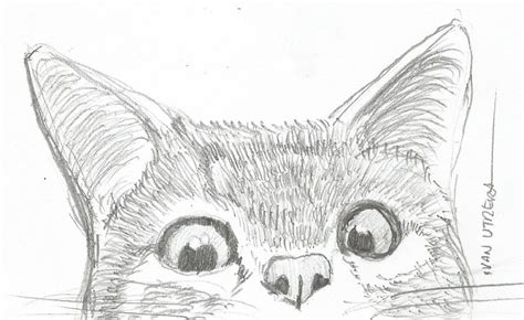 Gato A Lapiz Dibujos Bonitos Dibujos Dibujos Kawaii