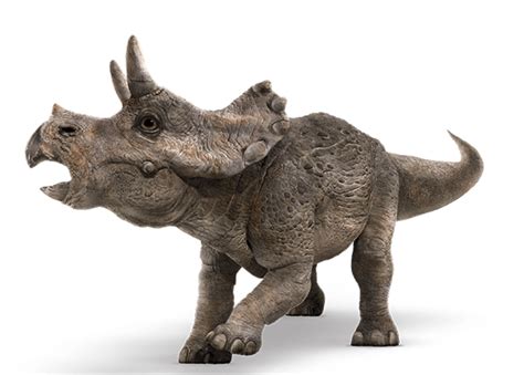 Jurassic World Triceratops Render 1 By Tsilvadino On Deviantart