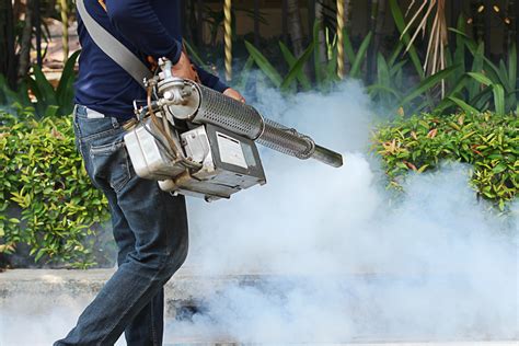 How much does a quarterly pest control plan cost? How often should you pest control your home | Service.com.au