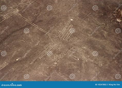 Nazca Lines Nazca Lines Peru Archeological Site Parrot Ruins Royalty