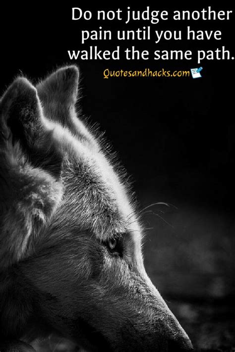 These are the best examples of lone wolf quotes on poetrysoup. 30 Lone wolf quotes that will trigger your mind - Quotes and Hacks