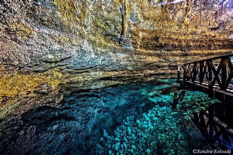 Multum Ha Cenote Coba All You Need To Know Before You Go